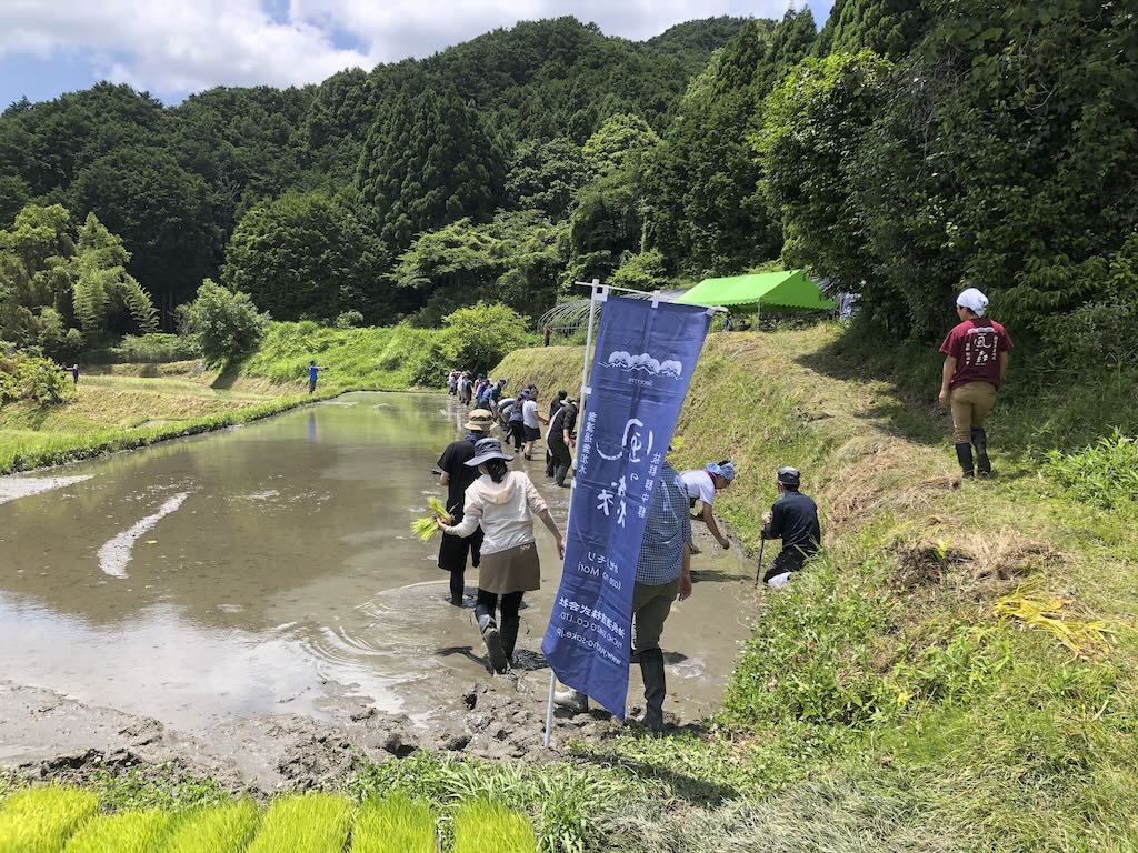 NAIST SDGs Action 2024 Vol.2 – Satoyama Conservation 2024 part.1 (June 9, 2024)