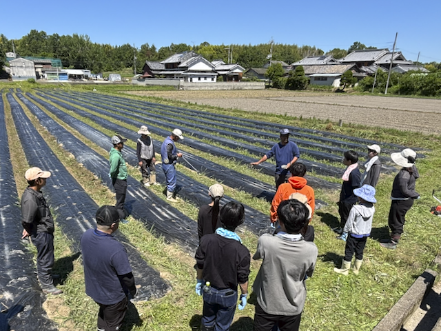 NAIST SDGs Action 2026 Vol.3~休耕田ワタ栽培プロジェクト Part 2 ワタ畑の草引き~ (2026.7.4)